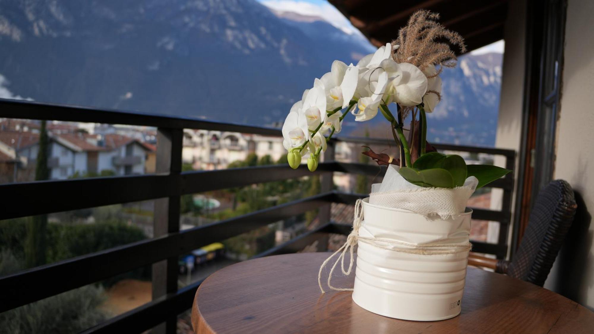 Residence La Colombera Riva del Garda Værelse billede